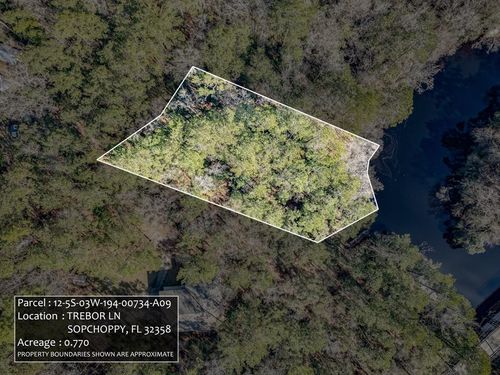 Lot 9 Trebor Ln, Sopchoppy, FL, 32358-0885 | Card Image
