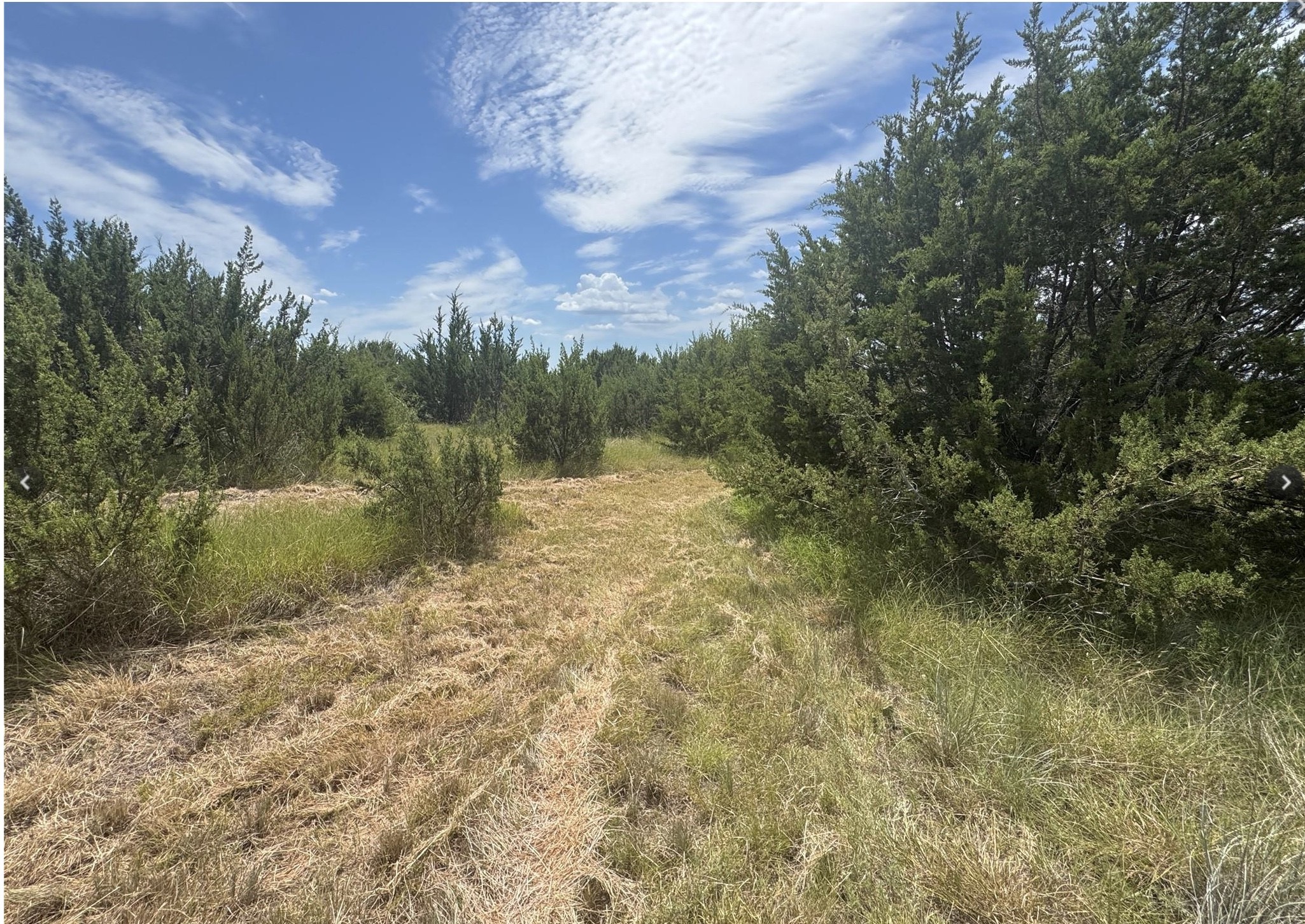 Land in Lipan 3