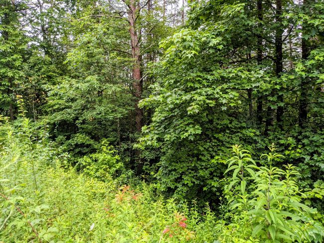 32 Lakeview Dr, Home with 0 bedrooms, 0 bathrooms and null parking in Turtletown TN | Image 13