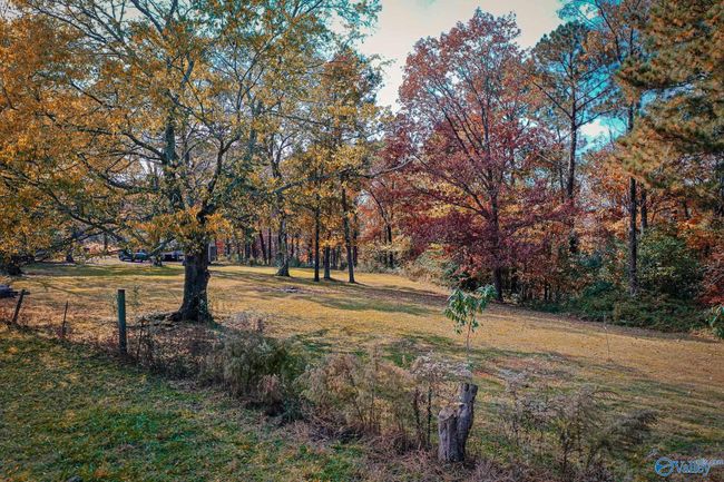 158 Bean Dr, Home with 0 bedrooms, 0 bathrooms and null parking in Union Grove AL | Image 8