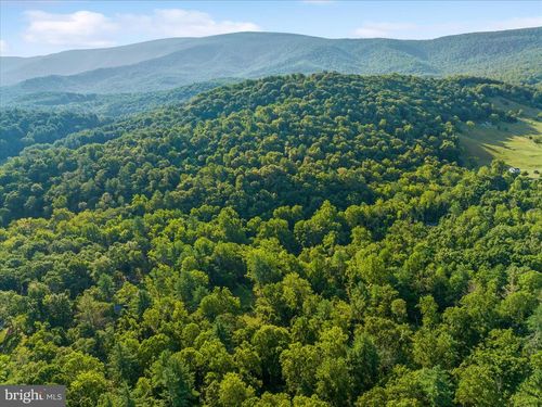 49A4 Gooney Manor Loop, BENTONVILLE, VA, 22610 | Card Image