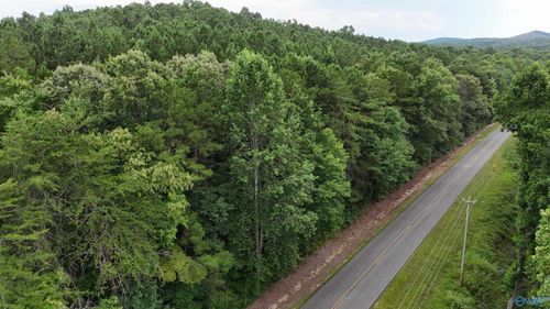 003 County Road 41, Gaylesville, AL, 35973-4251 | Card Image