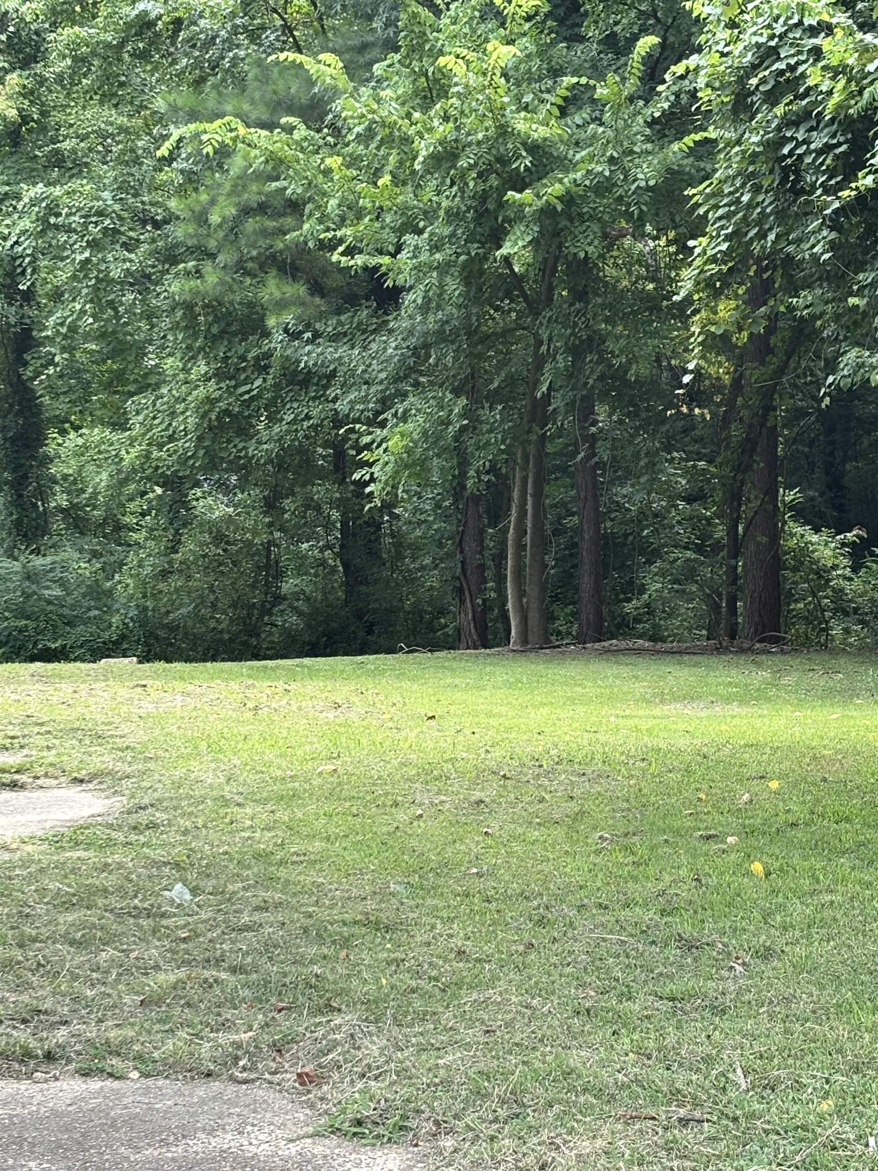 Land in Memphis 2