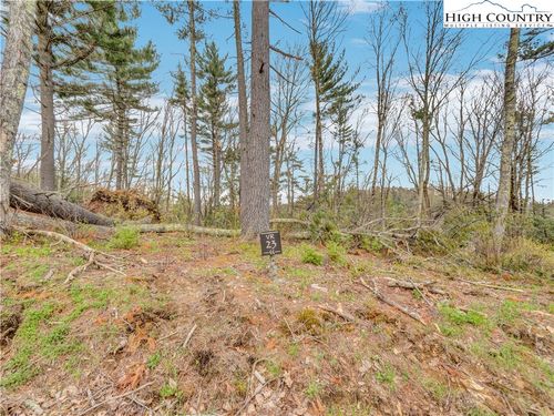 VR23 Fernwood Trail, Elk Park, NC, 28604 | Card Image