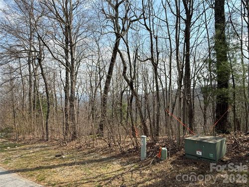 51-108 Fawncrest Ct, Flat Rock, NC, 28731-8539 | Card Image