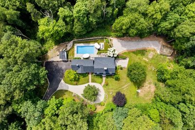 Almost 4 acres of mature trees, bushes, flowers and privacy. | Image 1