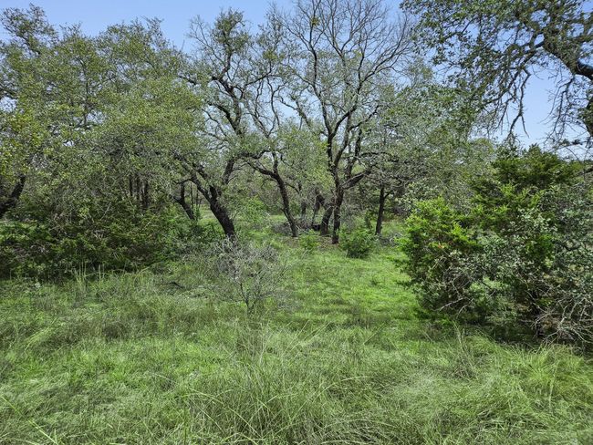 157 Verbena Cir, Home with 0 bedrooms, 0 bathrooms and null parking in Spring Branch TX | Image 7