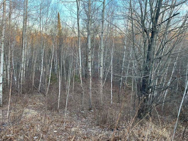 View south from home creek below | Image 50