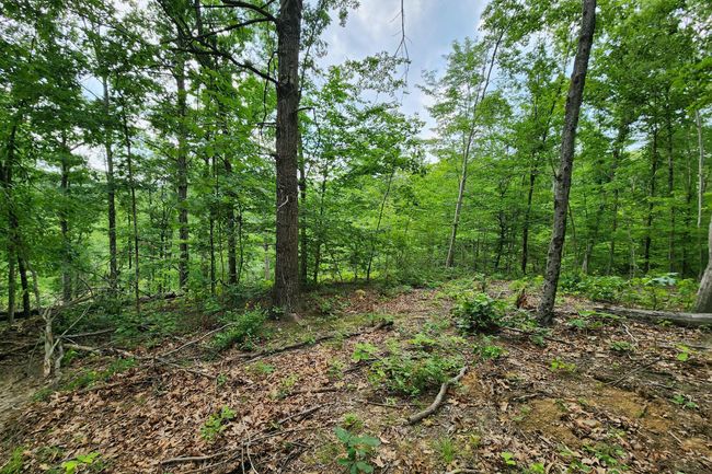 TRACT-3 - 0 Back Run Rd, Home with 0 bedrooms, 0 bathrooms and null parking in Philo OH | Image 18