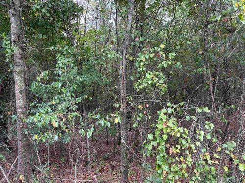 38 Baker Ln, Hattieville, AR, 72063-8023 | Card Image