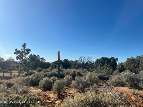 731 Road 4600, Navajo Dam, NM, 87419 | Card Image