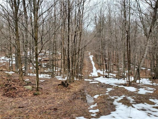 0 Echo Road, Home with 0 bedrooms, 0 bathrooms and null parking in Dwight ON | Image 9