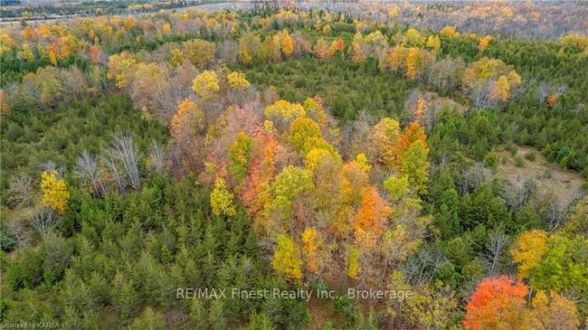 766 Westplain Rd, Home with 0 bedrooms, 0 bathrooms and null parking in Greater Napanee ON | Image 9