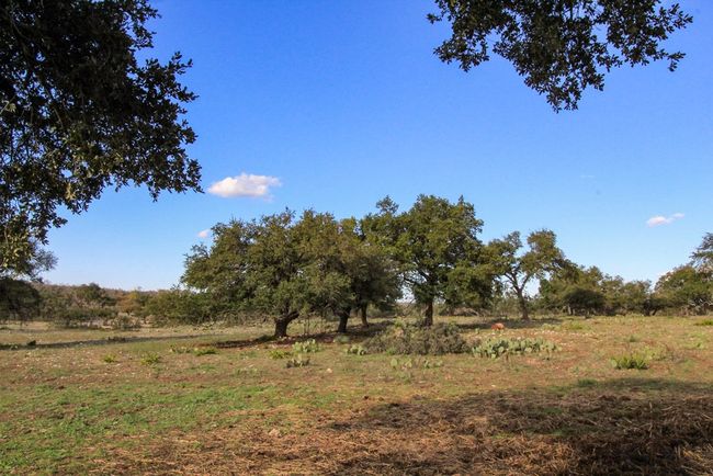 963 Josephine, Home with 0 bedrooms, 0 bathrooms and null parking in Harper TX | Image 9