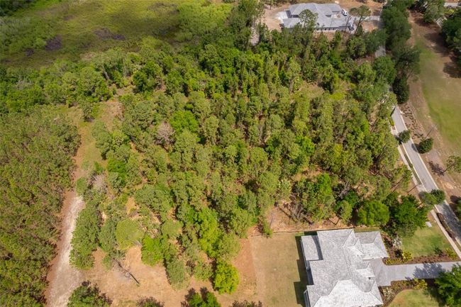 15902 Pendio Dr, Home with 0 bedrooms, 0 bathrooms and null parking in BELLA COLLINA FL | Image 9