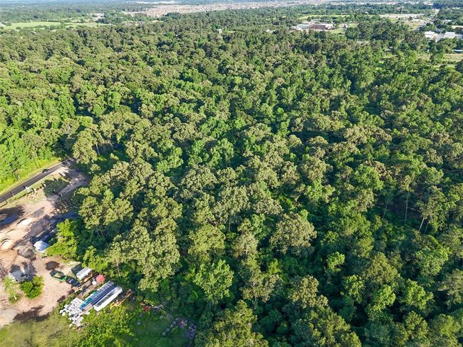 The property features dense tree coverage and natural terrain, offering privacy and development potential. | Image 8