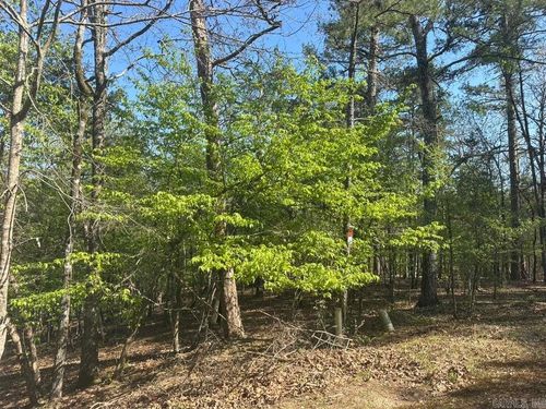 5 Saldana Way, Hot Springs Village, AR, 71909-7401 | Card Image