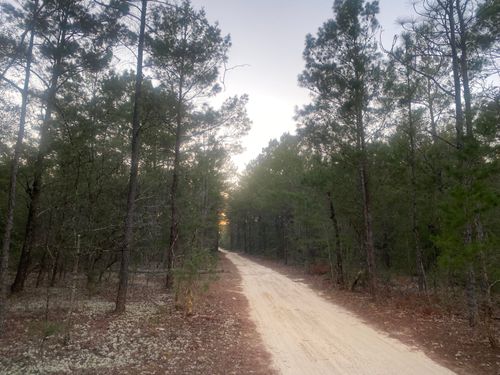 00 E Black Cherry Dr, Defuniak Springs, FL, 32433 | Card Image