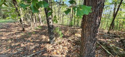 LOT 1699 Shade Tree Drive, Home with 0 bedrooms, 0 bathrooms and null parking in Talking Rock GA | Image 2