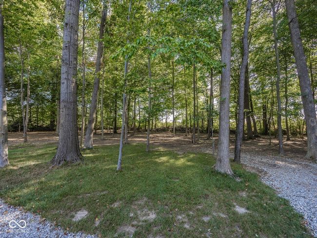view of yard | Image 50