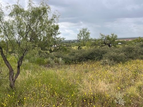 TBD2 County Road 405, Merkel, TX, 79536 | Card Image