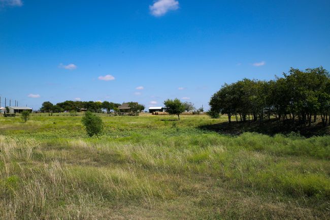 pasture for development | Image 18