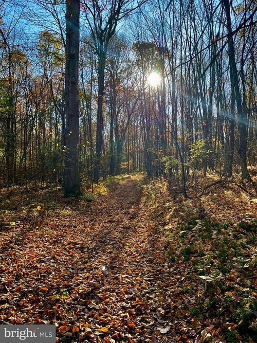 2 Beech Creek Mountain Rd, Beech Creek, PA, 16822 | Card Image