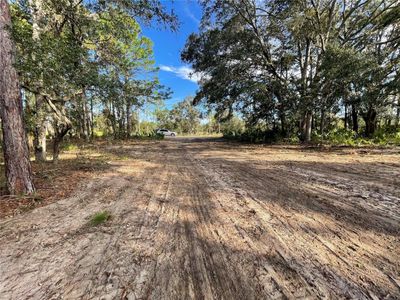 Drive way looking from build site | Image 3