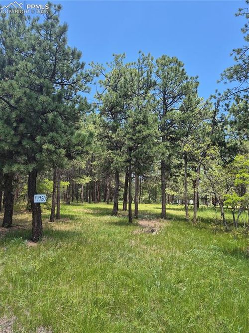 19420 Glen Cannon Way, Monument, CO, 80132-9412 | Card Image