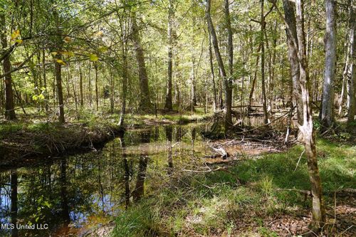 0 Jackson Liberty Dr Sw, Smithdale, MS, 39664 | Card Image