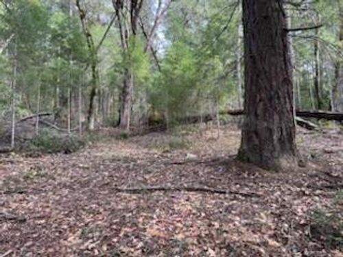 320 Coon Creek Rd, Salyer, CA, 95563 | Card Image