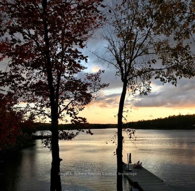 2481 Falkenburg Rd, House other with 3 bedrooms, 1 bathrooms and 6 parking in Port Carling ON | Image 37