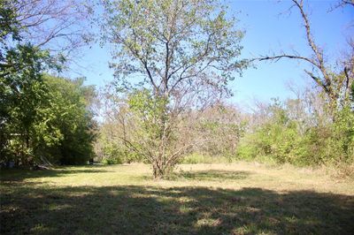 View of yard | Image 1