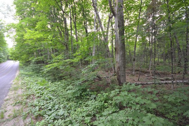 0 Harburn Rd, Home with 0 bedrooms, 0 bathrooms and null parking in Haliburton ON | Image 30