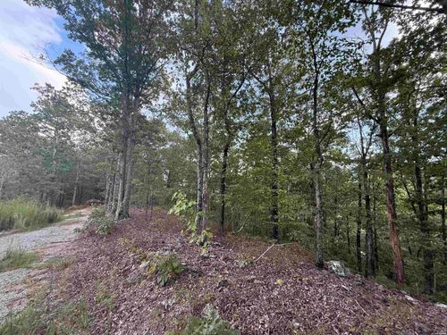 321 Plata Hollow Trl, Royal, AR, 71968 | Card Image