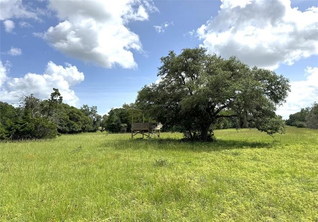 1435 Shaws Bend Rd, Home with 3 bedrooms, 2 bathrooms and null parking in Columbus TX | Image 30