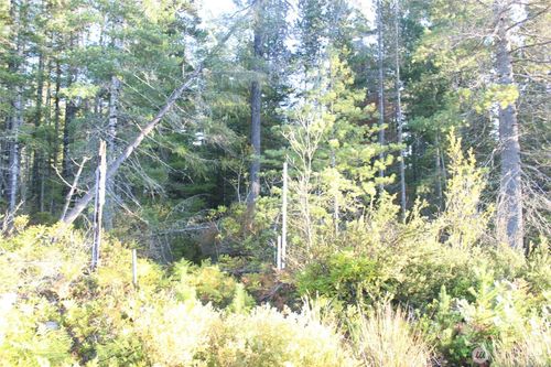 3511 Ne Tahuya Blacksmith Rd, Tahuya, WA, 98588-9451 | Card Image