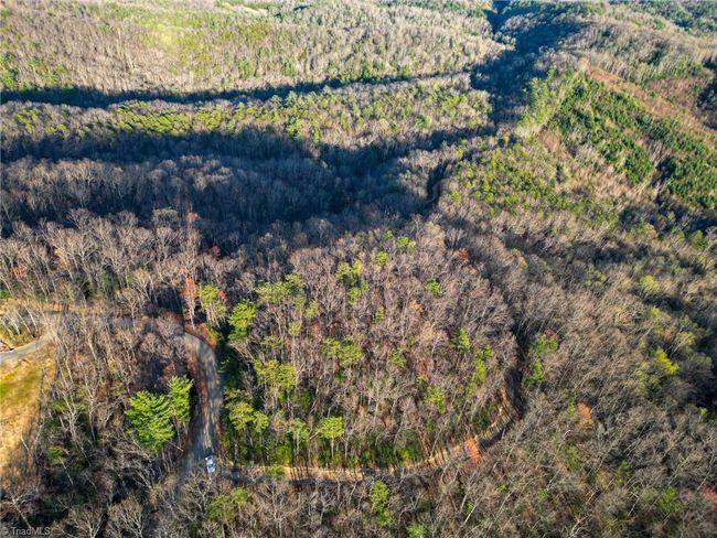 000 Gowings Knob Rd, Home with 0 bedrooms, 0 bathrooms and null parking in Mc Grady NC | Image 7