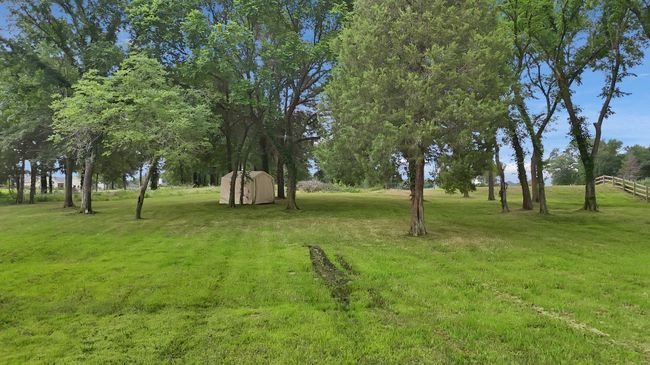 View of grassy yard | Image 5