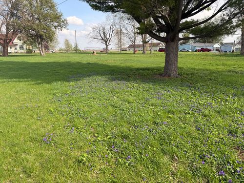 210 N Maple St, MAGNOLIA, IL, 61336-9663 | Card Image