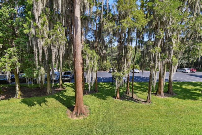 04239 - 36750 Us Highway 19 N, Condo with 3 bedrooms, 2 bathrooms and null parking in Palm Harbor FL | Image 6