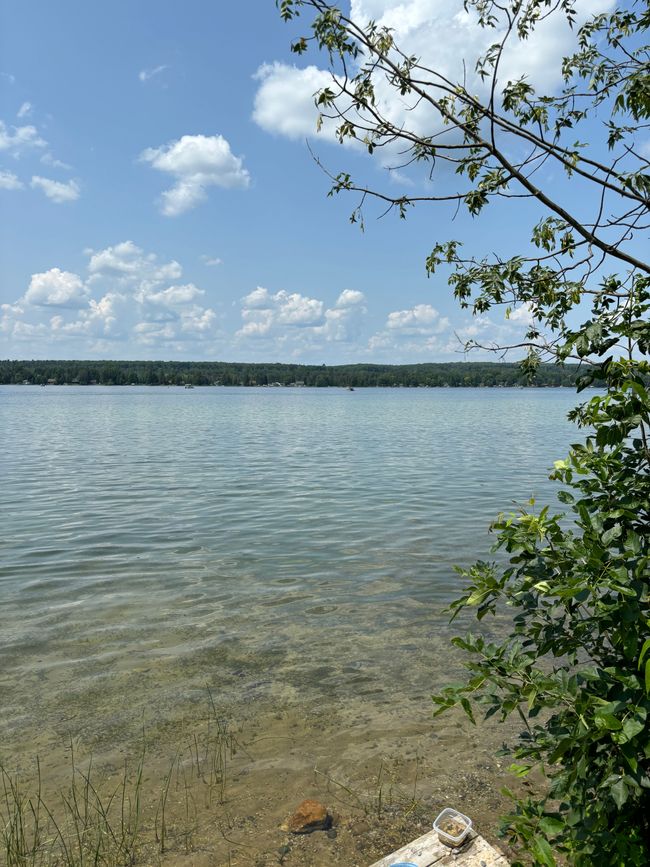 9602 Clewley Rd, Home with 0 bedrooms, 0 bathrooms and null parking in Lachine MI | Image 4