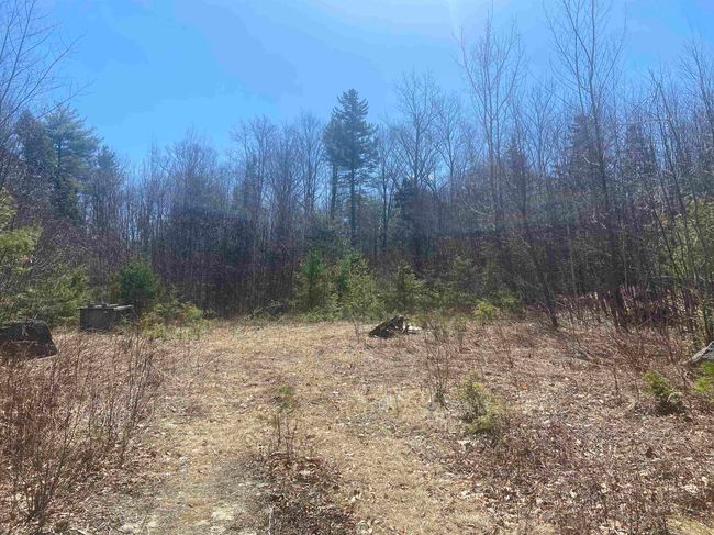 0 Teela Drive, Home with 0 bedrooms, 0 bathrooms and null parking in Sullivan NH | Image 4