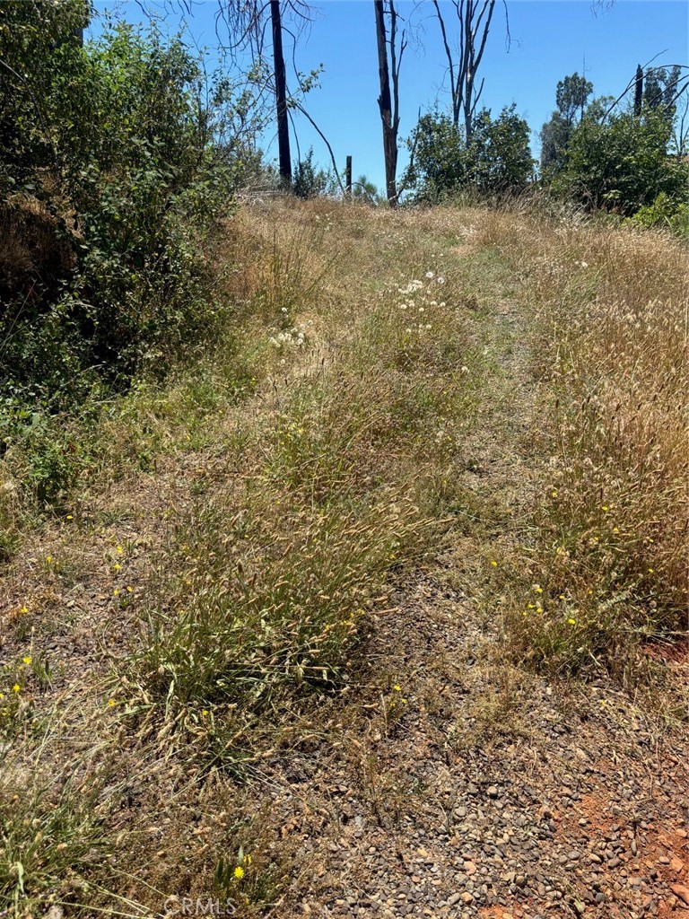 Land in Berry Creek 2