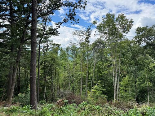 44 Stanley Hollow Rd, Weaverville, NC, 28787-6101 | Card Image