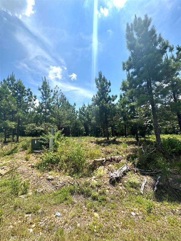 Land in Broken Bow 2