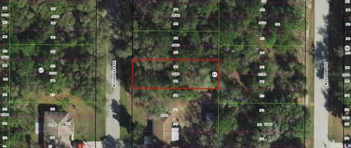 259 N Charles Ave, Inverness, FL, 34453-8938 | Card Image