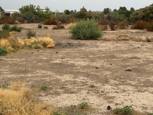 View of local wilderness featuring rural landscape | Image 4