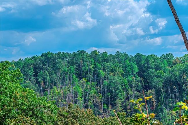 50 Jakes Landing Way S, Home with 0 bedrooms, 0 bathrooms and null parking in Ellijay GA | Image 14