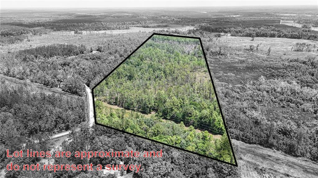 Land in Folkston 5
